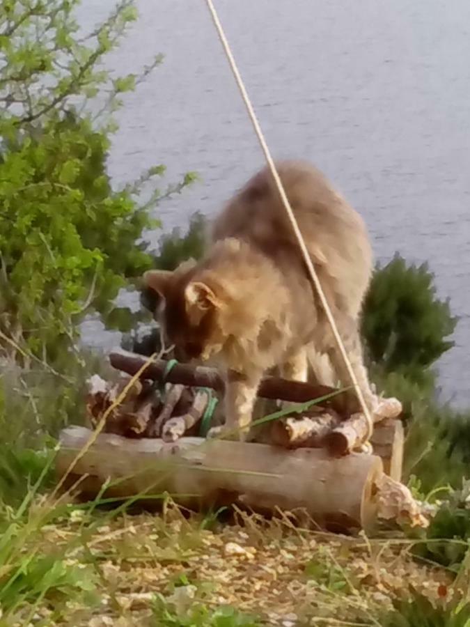 Camping Aloa Bol Zewnętrze zdjęcie